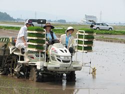 田植え視察の写真