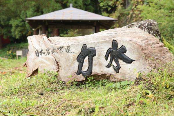 力水木製の看板