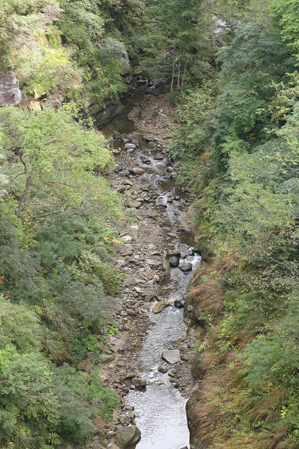 三途川渓谷の写真