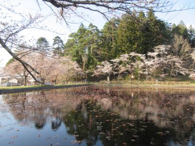 愛宕公園　池のほとり