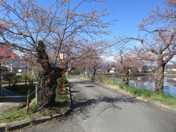 晴れた日の愛宕公園