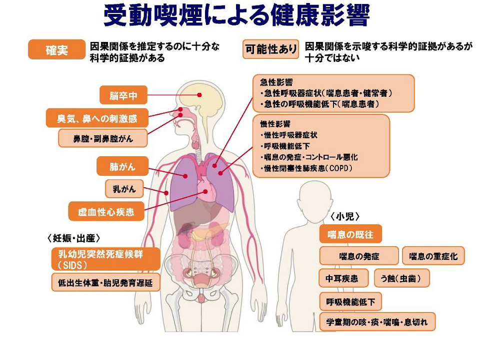 受動喫煙による健康影響