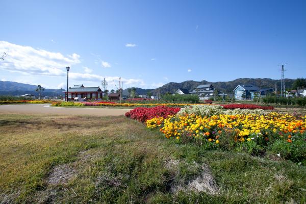 四季折々に美しい花が咲く、小町の郷公園