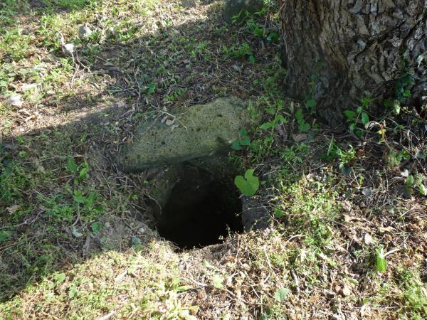 小町の父である小野良実（おののよしざね）の館跡に残された井戸