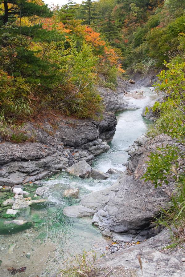 川から湯けむりが立ち上る