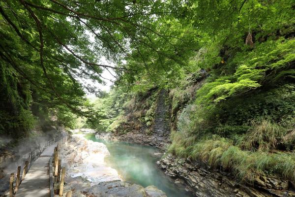 四季折々に移ろう景色を楽しめる