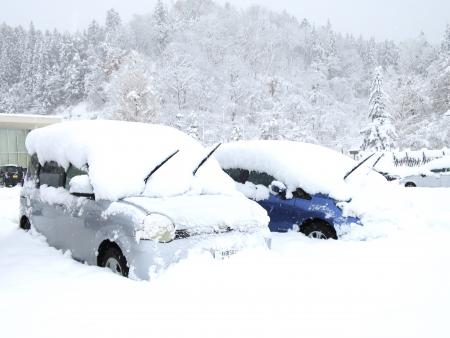 雪の様子