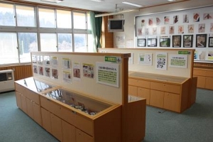 三途川化石資料室の写真