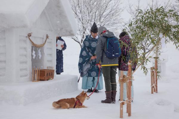 「愛犬祈願祭」では愛犬と一緒にご祈祷を受けられます