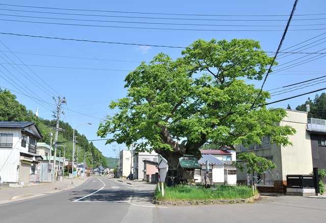 一里塚の写真