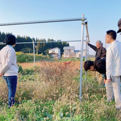 稲川の圃場