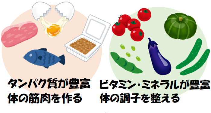 タンパク質とビタミン・ミネラルが豊富な食品