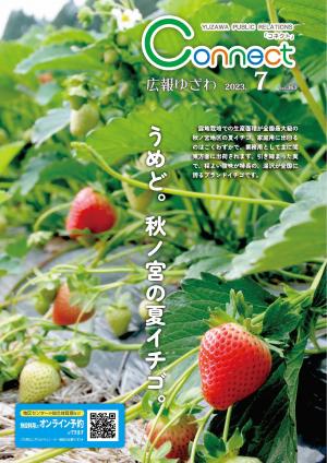 7月