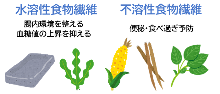 食物繊維イラスト