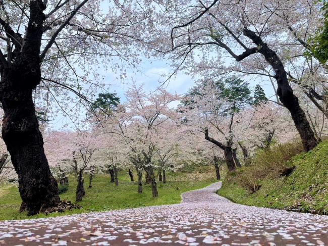 前森公園の写真