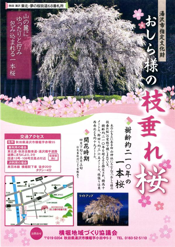 おしら様チラシ1