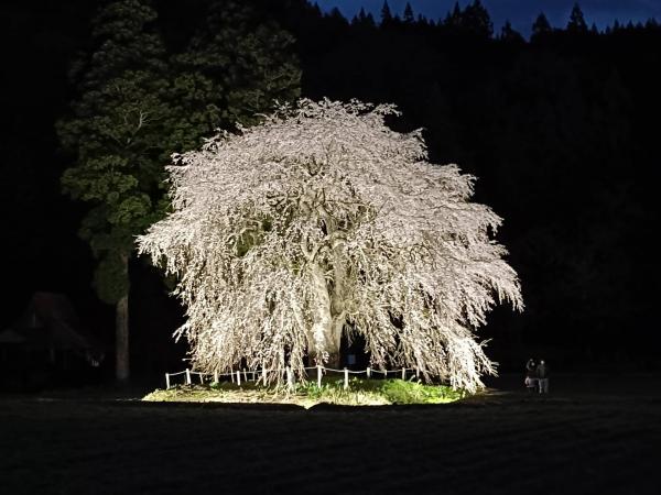 おしら様3