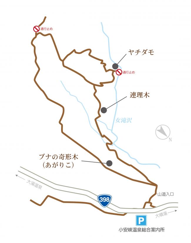 女滝沢案内図