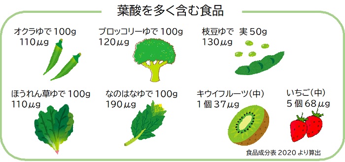 葉酸を多く含む食品の例