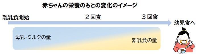 赤ちゃんの栄養のもとの変化のイメージ図