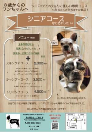 クレッセント2