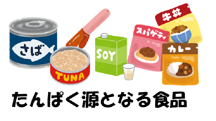 たんぱく源になる食事