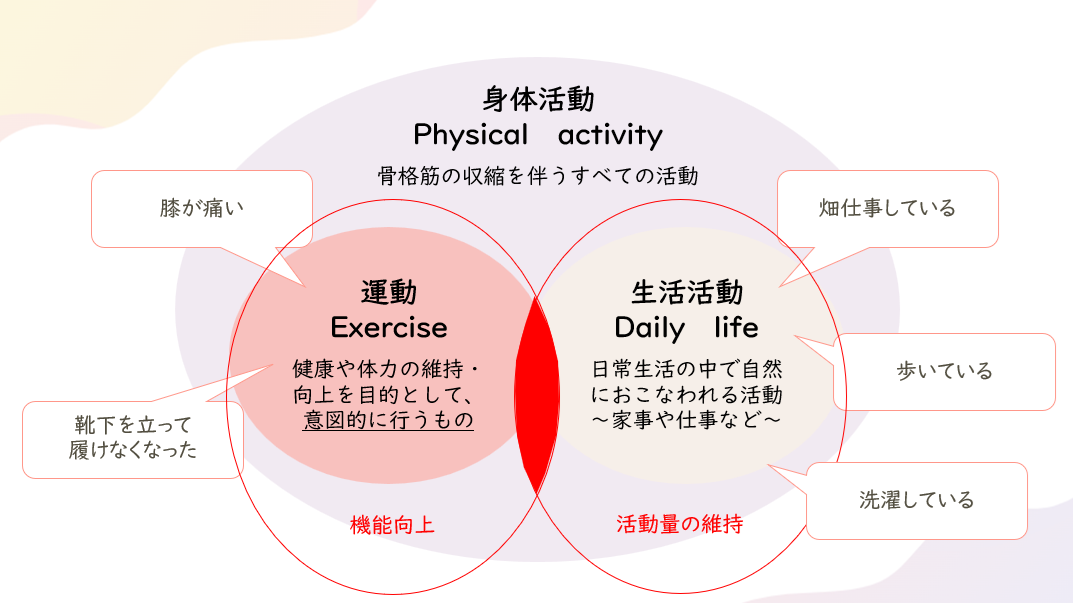 運動と身体活動の関連図