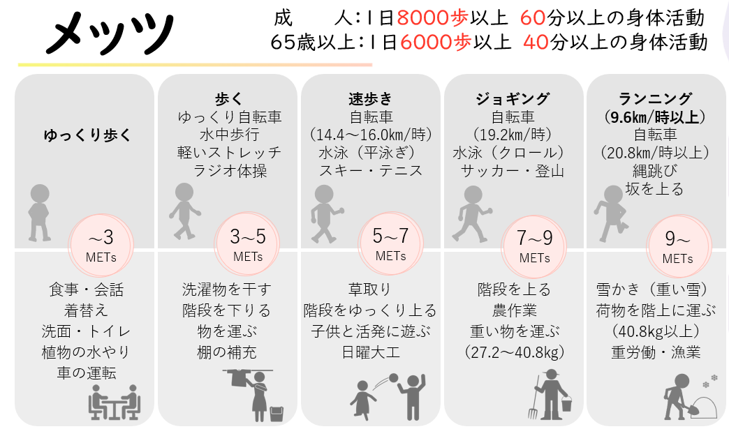 運動と生活活動の関連をメッツの単位で見ると