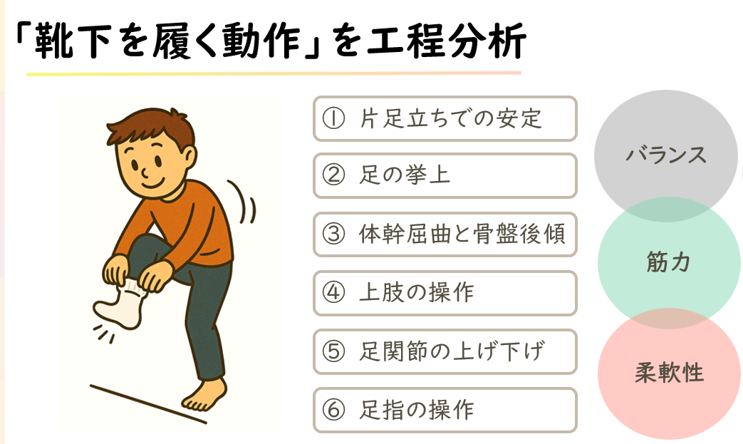 靴下を履く動作を工程分析