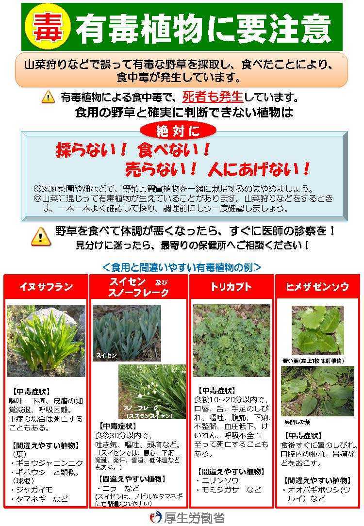 有毒植物パンフレット