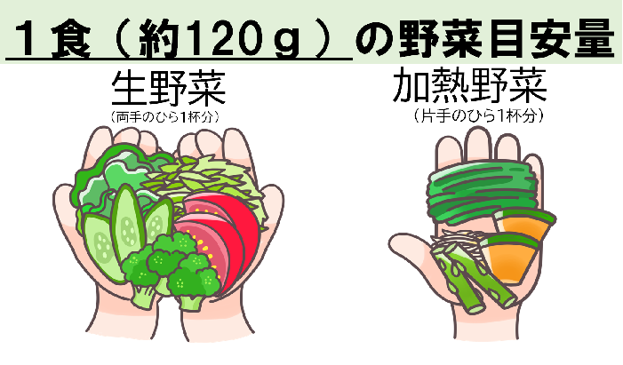 1食の野菜の目安