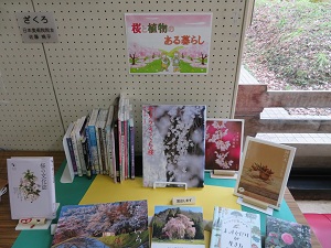 桜と植物のある暮らし