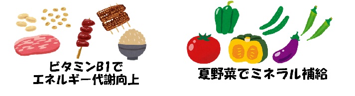 ビタミンB1と夏野菜をとりましょう