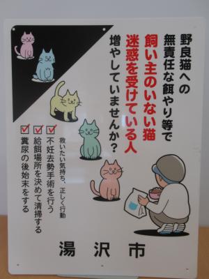 救いたい気持ち、正しく行動