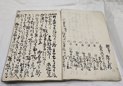天樹院様御用日記内容画像