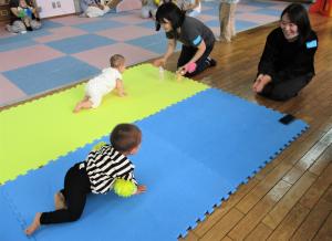 ハイハイレース
