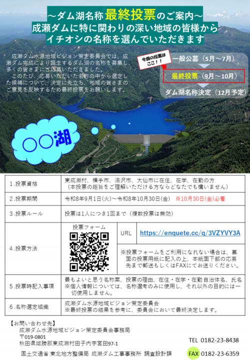 ダム湖名称最終投票チラシ