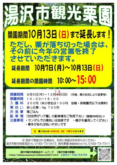 観光栗園延長チラシ