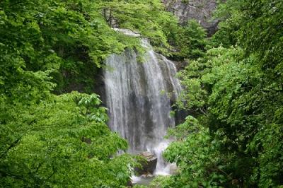 湯ノ又大滝夏画像
