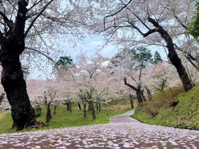 前森公園の写真
